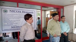 15179113 1270271819696708 7211335057302999870 n